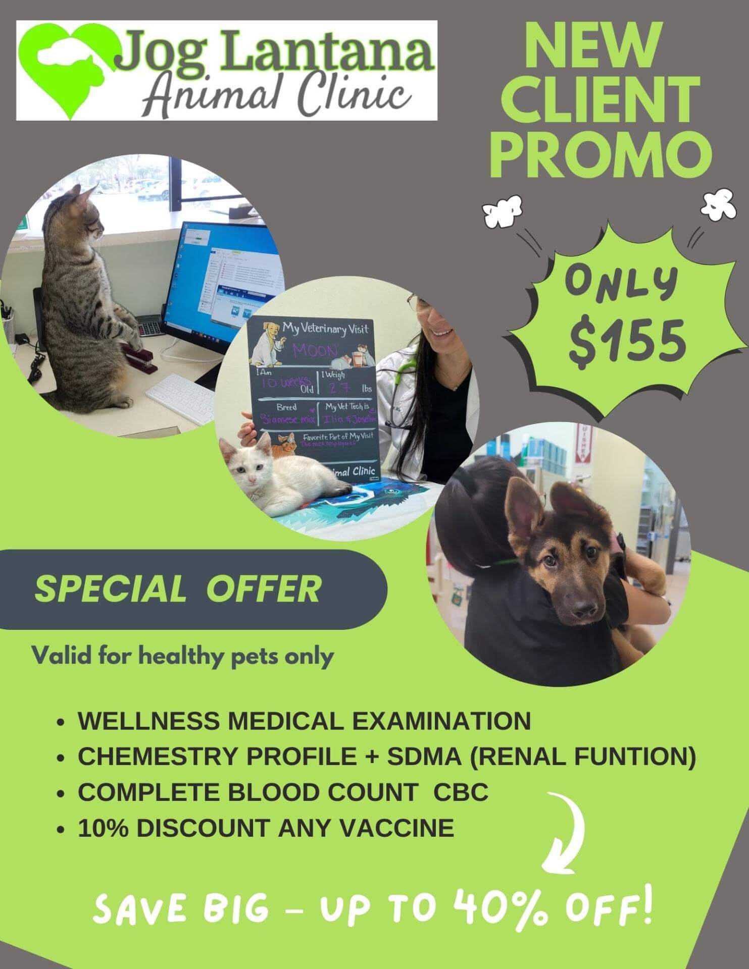 NEW CLIENTS SPECIAL  FOR HEALTHY PETS ONLY